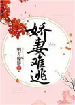 娇妻在上夜少强势锁婚