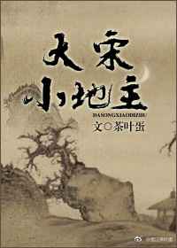 宋朝大地主小说